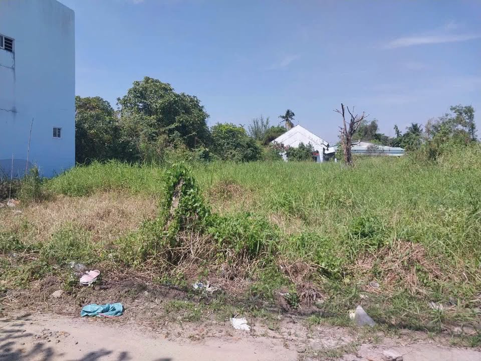 Đất thổ cư 800m² Xã Bình Mỹ, Củ Chi - Giá 14 tỷ, vị trí đẹp gần đường lớn!