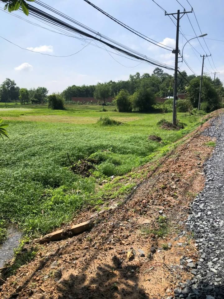 Đất nền Củ Chi 2924m² giá 19 tỷ - Nằm ngay mặt tiền tỉnh lộ 15