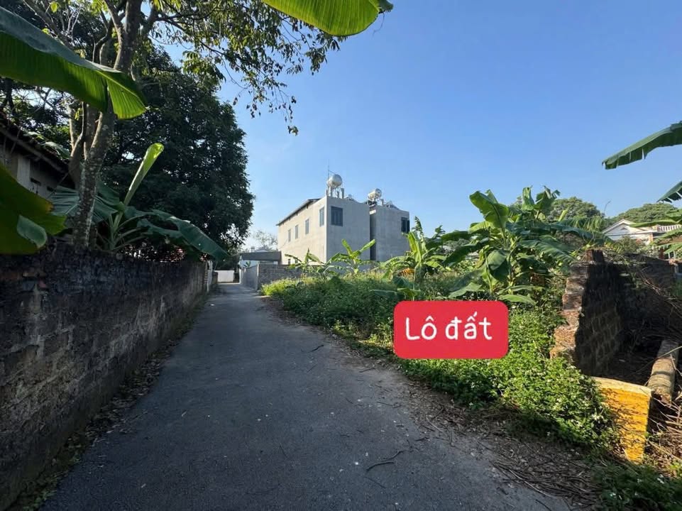 Đất thổ cư Hương Ngọc 130m² giá 1.2 tỷ - Đường ô tô thông thoáng!