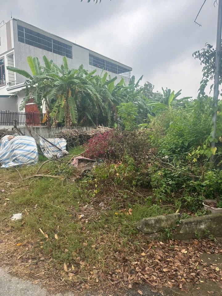 Đất nền mặt đường TL309c, Hoàng Hoa, Tam Dương 130m² giá 1.3 tỷ - Cơ hội đầu tư ngay!