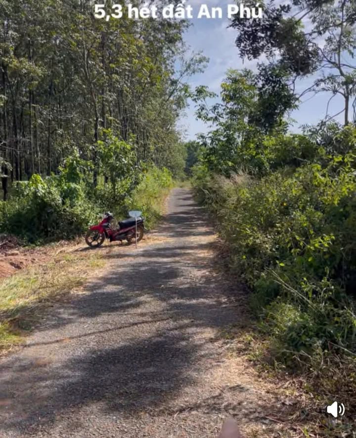 Đất nền 5ha An Phú, Tân Uyên giá 50 tỷ - Cơ hội đầu tư tuyệt vời!