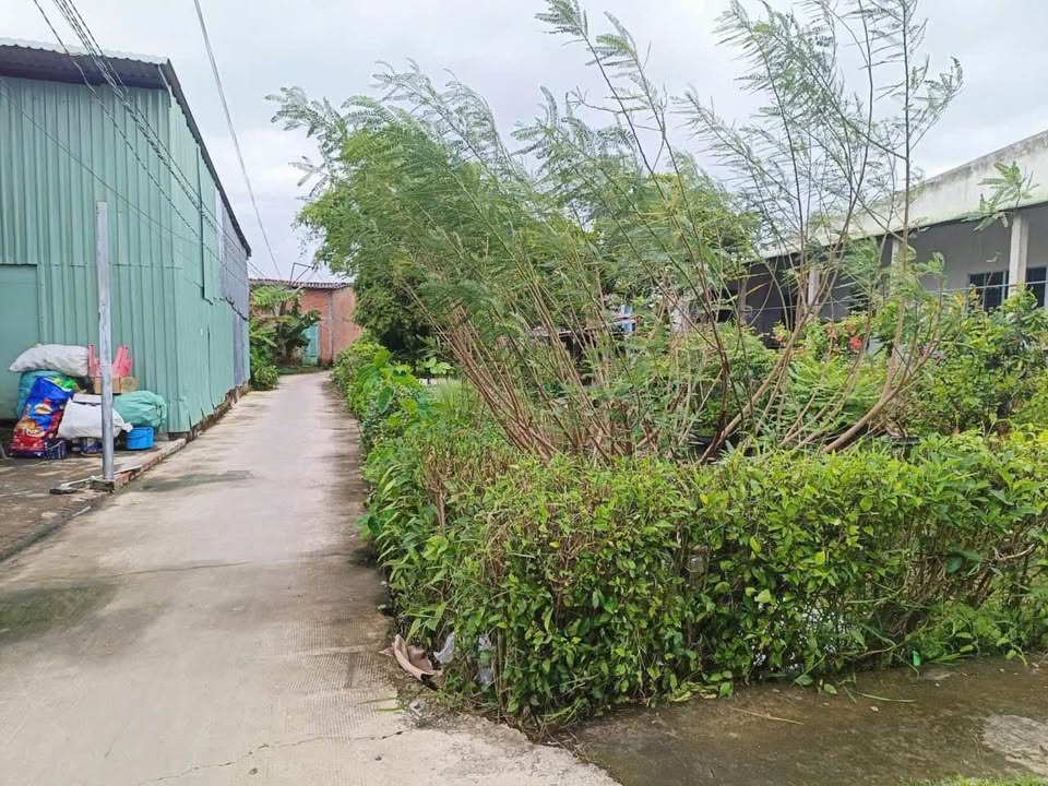 Đất nền phường 5 Tân An 158m² giá chỉ 790 triệu - Đầu tư sinh lời ngay!