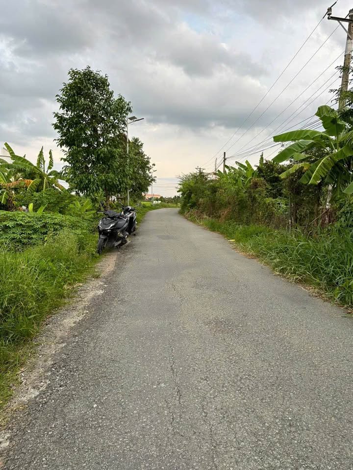 Đất thổ cư mặt tiền đường Bùi Tấn, xã Nhơn Thạnh Trung, 224m² - Giá chỉ 1.55 tỷ!