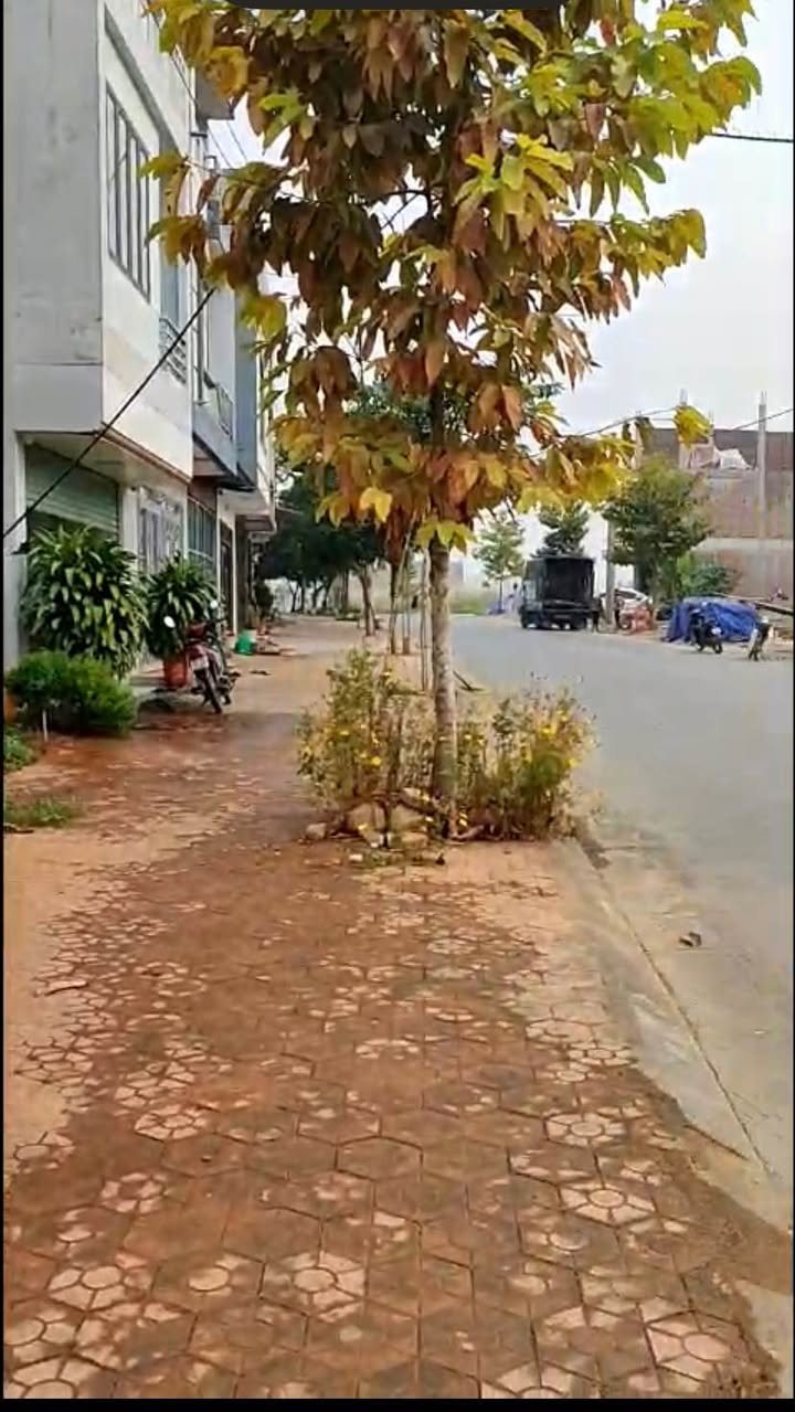 Đất nền tái định cư đường H6, Lào Cai 90m² giá 2.1 tỷ - Xây dựng tự do!