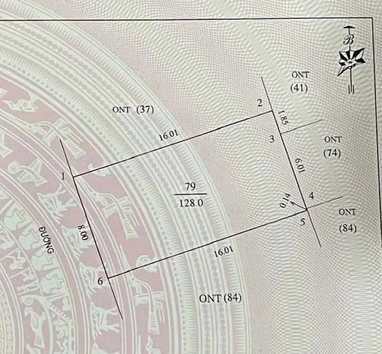 Đất Đẹp Nghi Kim 128m² giá 3.65 tỷ - Cơ hội đầu tư tuyệt vời!