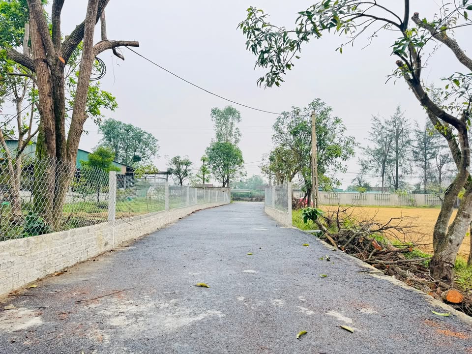 Đất thổ cư Vinh Tân 77m² giá 1 tỷ - Vị trí đắc địa gần cơ sở hành chính!