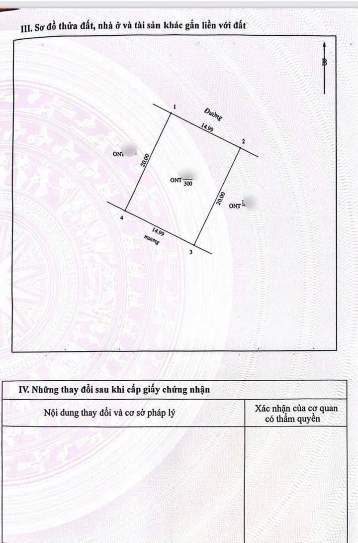 Đất nền Nghi Xuân 300m² giá chỉ 2x triệu - Cơ hội đầu tư tuyệt vời!