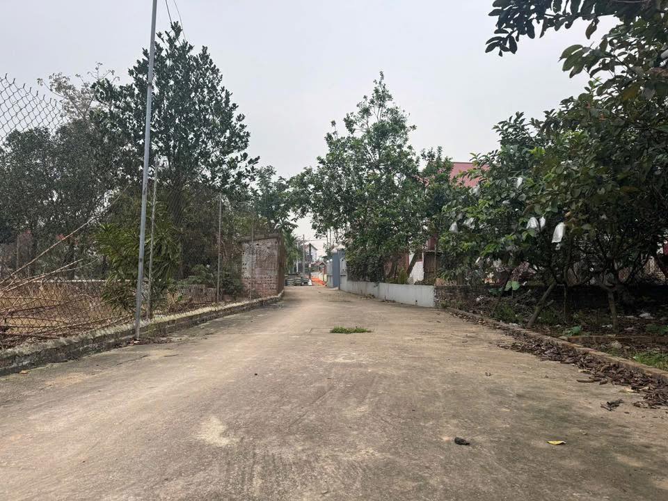 Đất nền thôn Quán Trạch, Văn Giang 78,3m² giá chỉ 2 tỷ - Đầu tư sinh lời ngay!