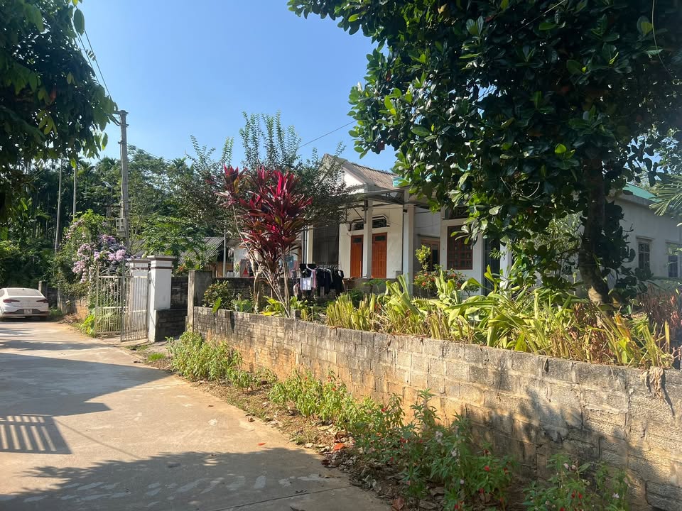 Đất nền Yên Thế Lục Yên 115.9m² giá 400 triệu - Chính chủ cần bán gấp!