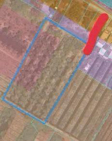 Đất vườn 5629m² đường Trương Văn Đa, Bình Lợi - Giá chỉ 19.7 tỷ