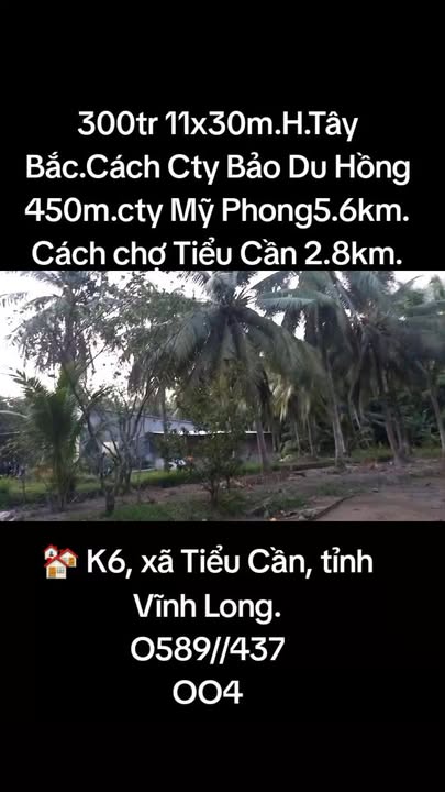 Đất thổ cư Tiểu Cần Trà Vinh 330m² giá 350 triệu - Đầu tư sinh lời ngay!