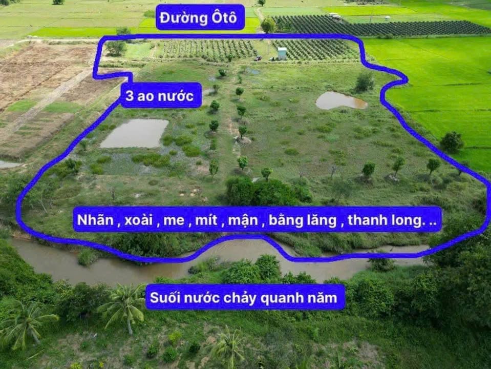 Farm 1,7 Ha Thôn 2, Xã Hồng Sơn, Huyện Hàm Thuận Bắc - Đầu tư lý tưởng!