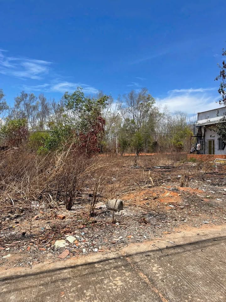 Đất thổ cư mặt tiền nhựa Tiến Thành 150m² giá 1.65 tỷ - Đầu tư sinh lời ngay!