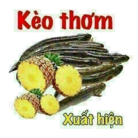 Đất nền Minh Hưng Chơn Thành 360m² - Gần KCN, giá mềm cho đầu tư