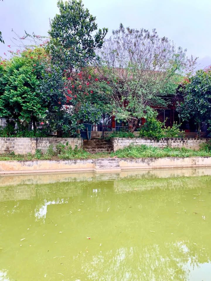 Trang trại Bản Mạt, Mai Sơn, Sơn La 3500m² - Gần đường lớn, có sẵn nhà sàn đẹp