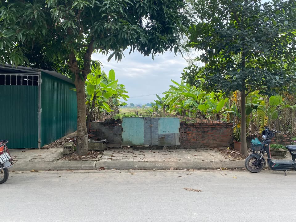 Đất nền Tứ Xã Lâm Thao 100m² giá thỏa thuận - Chính chủ bán gấp!