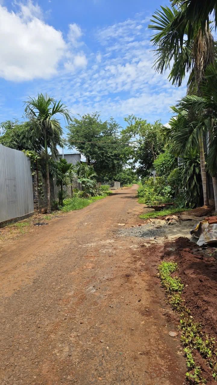 Lô đất Hòa Xuân Đà Nẵng 228m² giá 2.28 tỷ - Vị trí đẹp, giá tốt!