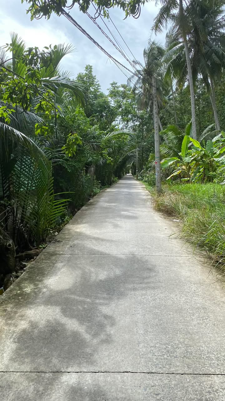 Đất nền xã Mỹ Thạnh An, Bến Tre 90m² giá 600 triệu - Cơ hội đầu tư sinh lời!