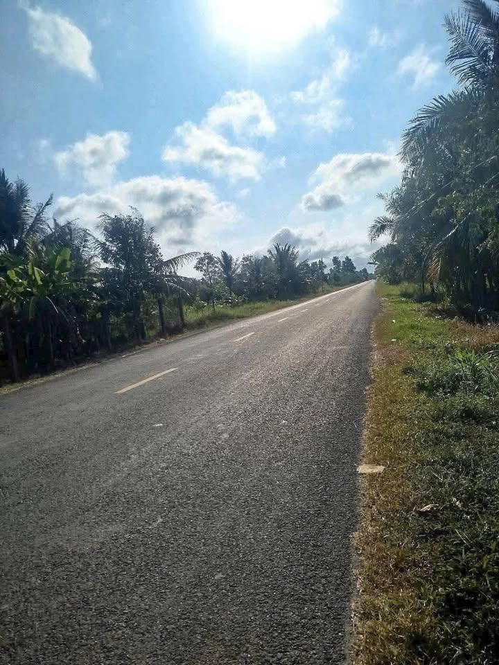 Bán đất vườn dừa mặt tiền 173, Lương Hòa, Giồng Trôm - Diện tích 4500m², giá 8 tỷ!