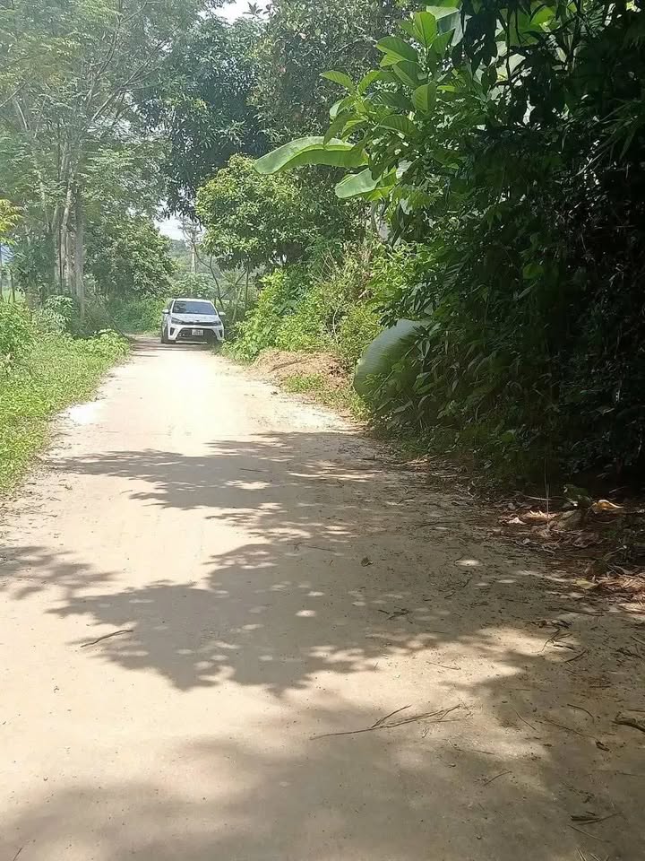 Đất nền Thạch Đồng 500m² giá thỏa thuận - Cơ hội đầu tư hấp dẫn!