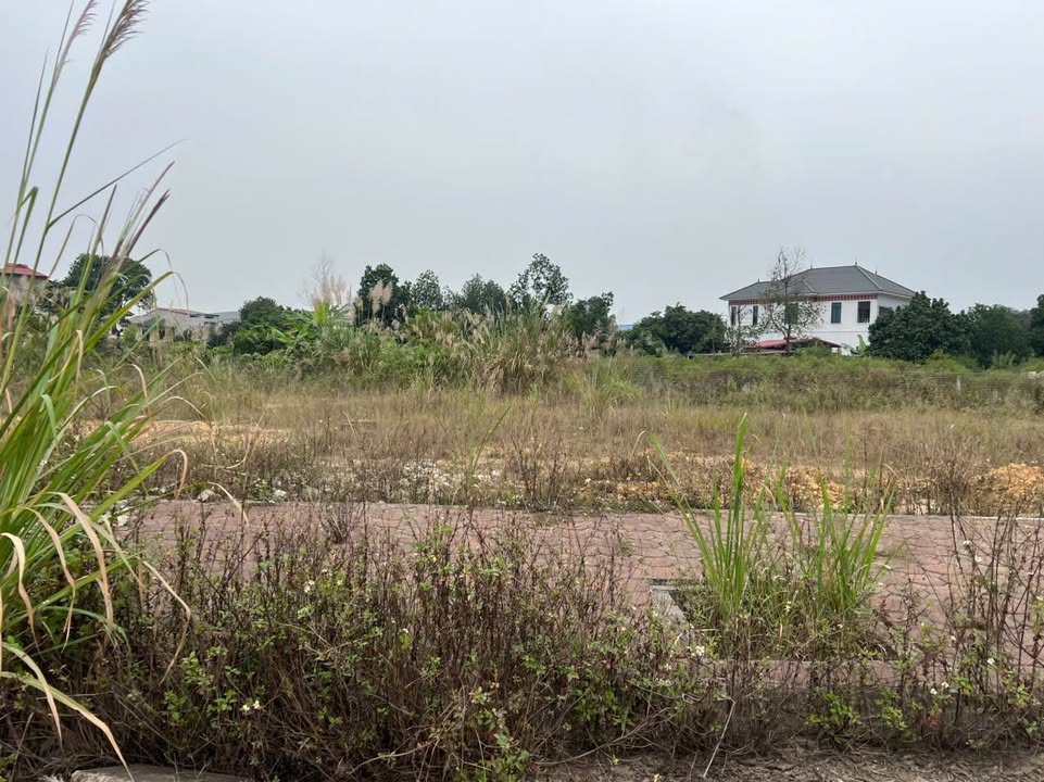 Bán đất KDC 11B Tân Lập Thái Nguyên 243m² - Hướng Đông Nam, giá tốt!