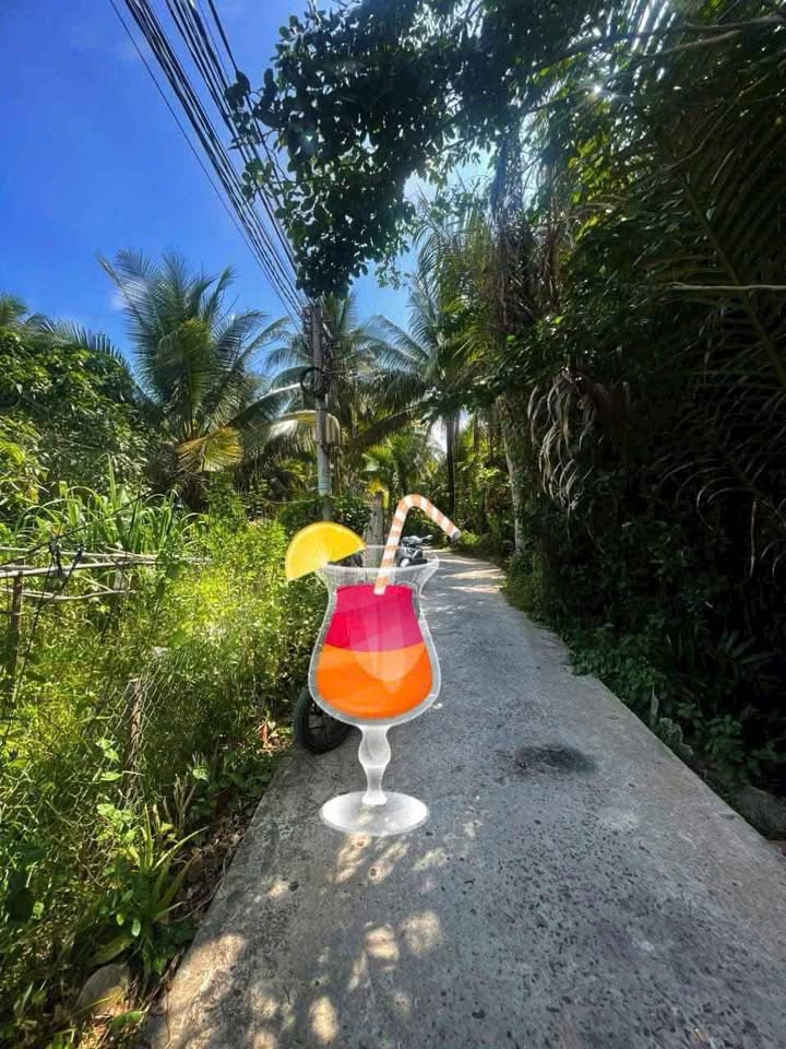 Đất Phú Nhuận Bến Tre 110m² giá 550 triệu - Đầu tư sinh lời ngay!