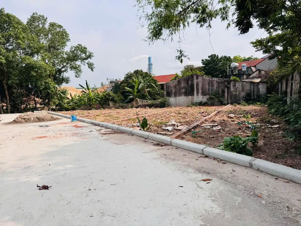 Đất nền Hương Canh, Bình Xuyên 100m² giá 900 triệu - Nở hậu tài lộc!