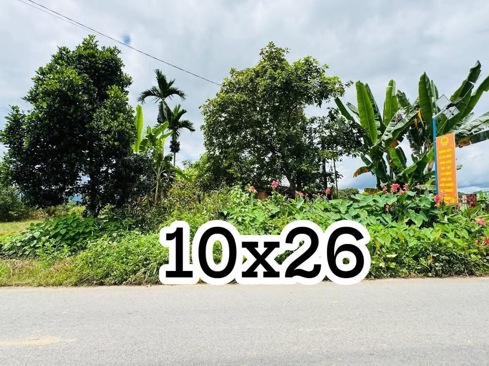 Đất mặt tiền đường Trường Chinh Đắk Hà 260m² giá 1 tỷ - Cần bán gấp!