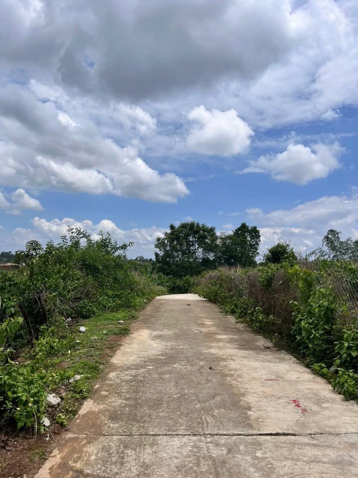 Đất nền Đắk Hà 245m² giá chỉ 300 triệu - Cơ hội không thể bỏ lỡ!