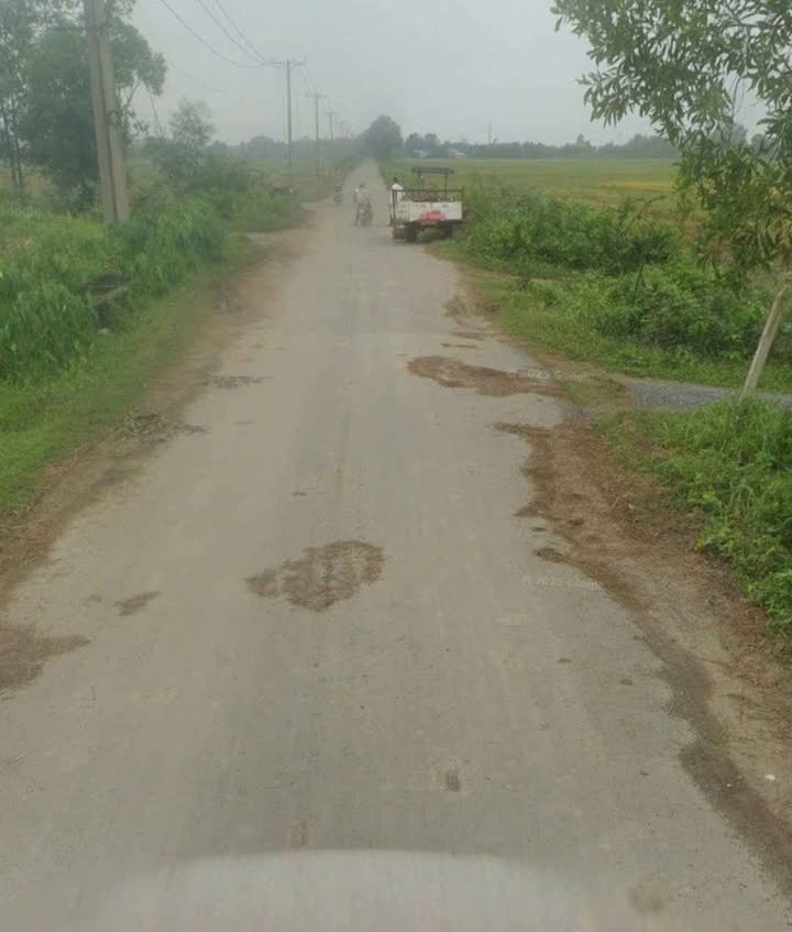 Đất nông nghiệp 7286m² tại xã Thái Mỹ, Củ Chi - Giá chỉ 12 tỷ, thích hợp xây dựng trang trại!