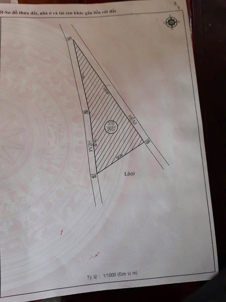 Đất nền Cam Ly Đà Lạt 3000m² giá chỉ 2 triệu/m² - Đầu tư sinh lời hấp dẫn!