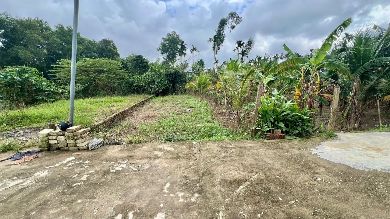 Đất La Bông Hòa Tiến 120,2m² giá 1.22 tỷ - Khu vực đông dân cư yên tĩnh!