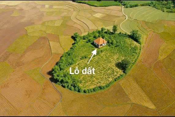 Đất nền biệt lập Mỹ Hòa Tân Lạc 7775m² giá 3 tỷ - Không gian yên tĩnh lý tưởng!