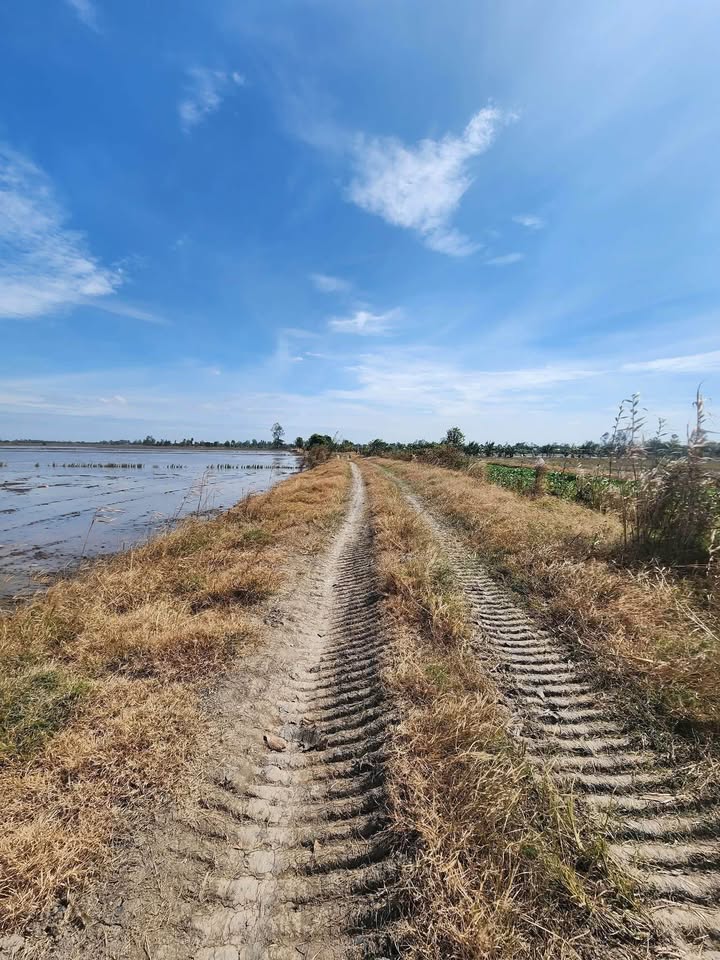 Đất ruộng Vĩnh Thành, Châu Thành 40000m² giá 5.96 tỷ - Vị trí đẹp, thuận tiện tưới tiêu!