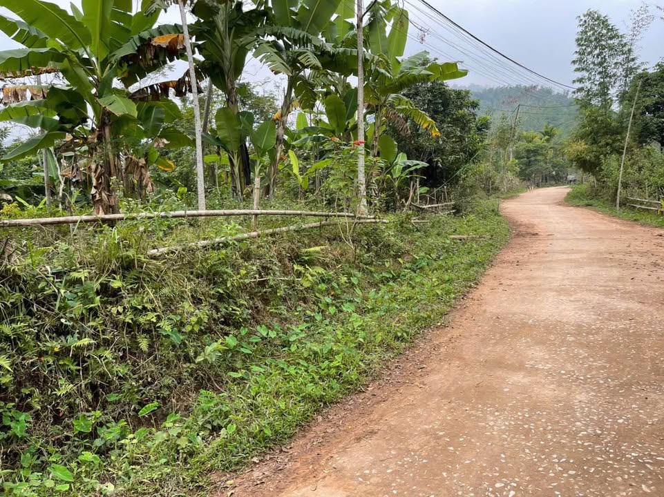 Đất nghỉ dưỡng 351m² tại Cun Pheo, Mai Châu - Giá chỉ từ 2xx triệu!