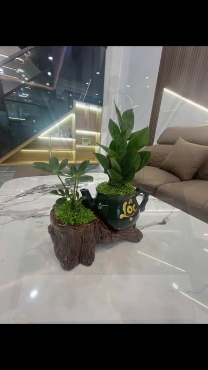 Nhà mặt tiền kinh doanh 72m² tại Sóc Trăng giá chỉ 3.8 tỷ - Đầu tư sinh lời ngay!