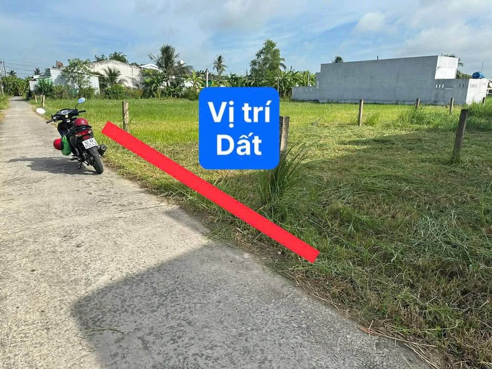 Đất thổ cư xã An Vĩnh Ngãi, Tân An, Long An 204m² giá 1.5 tỷ - Vị trí đắc địa, tiện ích đầy đủ!