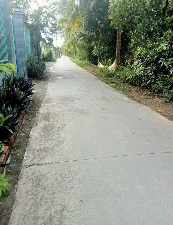 Đất thổ cư 125m² tại ấp 7 Nhựt Chánh, Bến Lức - Giá chỉ 700 triệu VND!