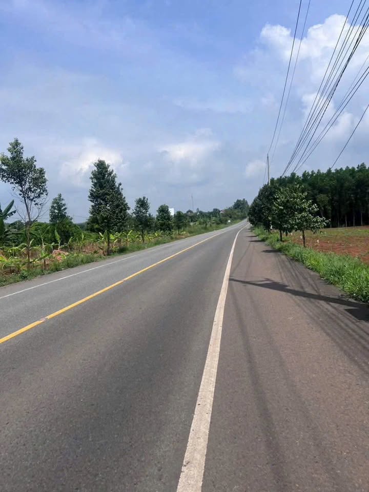 Đất nền Mặt tiền 765 Long Tân 160m² giá chỉ 1.18 tỷ - Cơ hội đầu tư sinh lời!