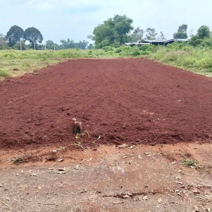 Đất nền Long Tân 200m² giá chỉ 690 triệu - Cơ hội đầu tư tuyệt vời!