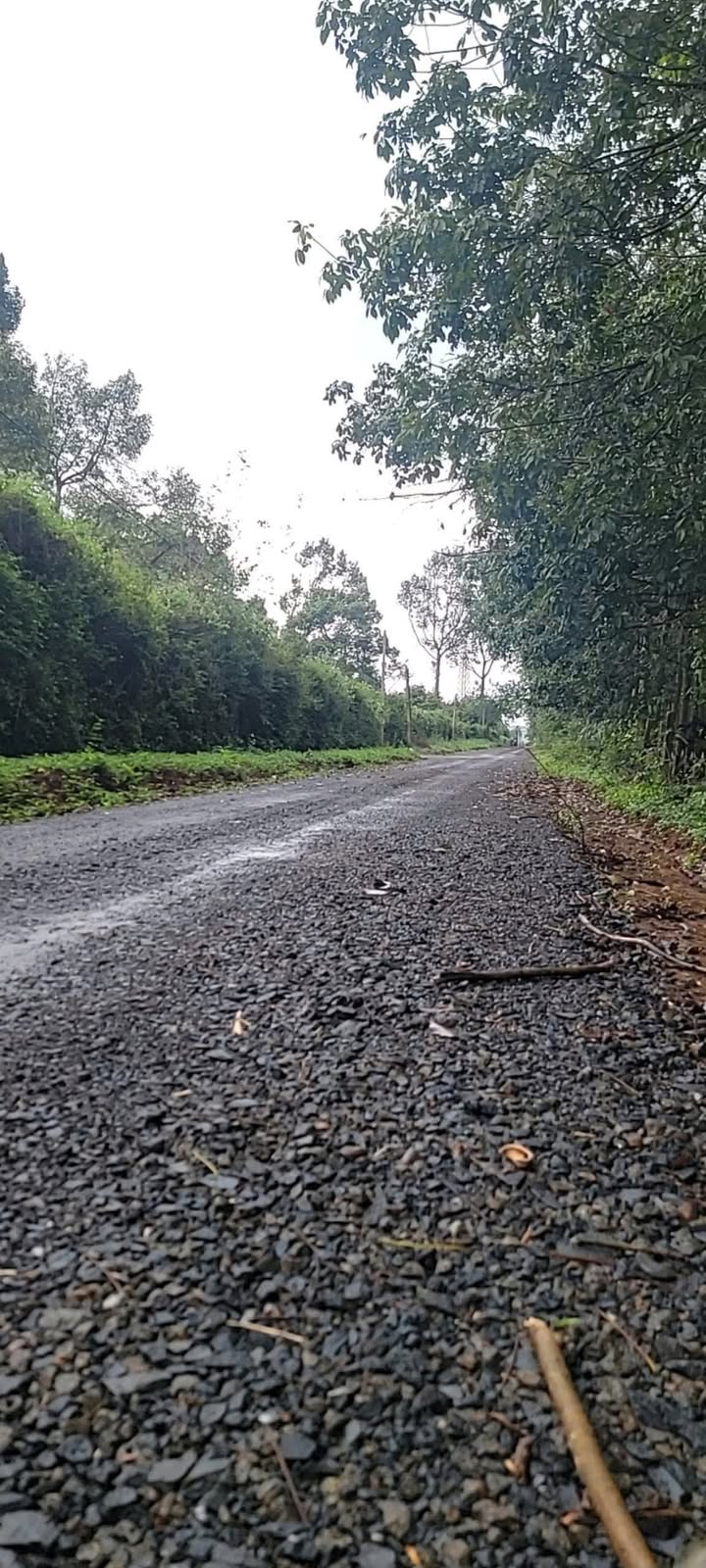 Đất nông nghiệp 500m² tại Buôn Ma Thuột - Tiềm năng tự cung tự cấp thực phẩm