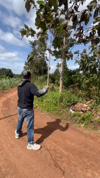 Đất nền Cư M'gar Đắk Lắk 1000m² giá 359 triệu - Vị trí đắc địa, tiện ích đầy đủ!