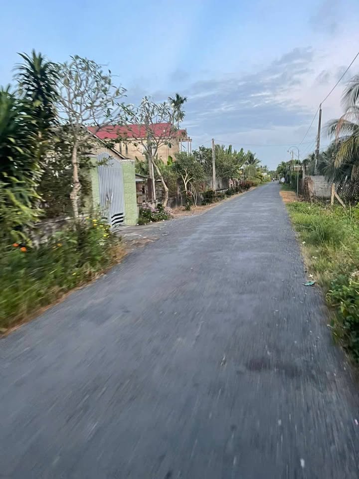 Đất Mặt Tiền Đường Nhựa 527m² Phú Kiết, Chợ Gạo - Kinh Doanh Đỉnh Cao!