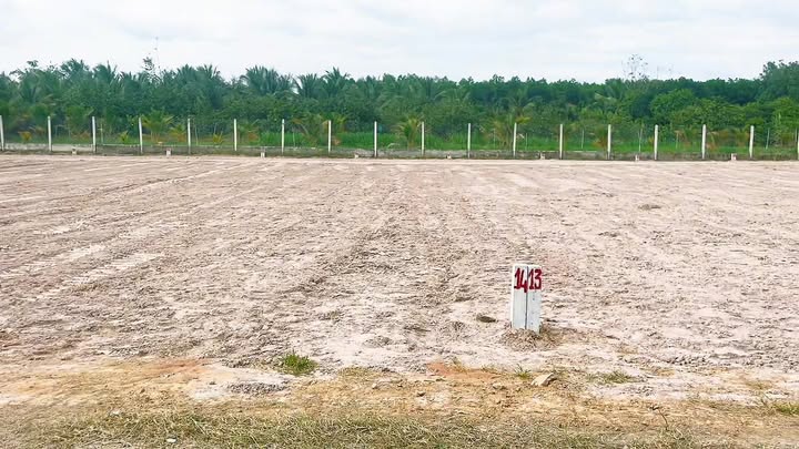 Đất nền Trí Bình 155m² giá chỉ 300 triệu - Cơ hội đầu tư tuyệt vời!