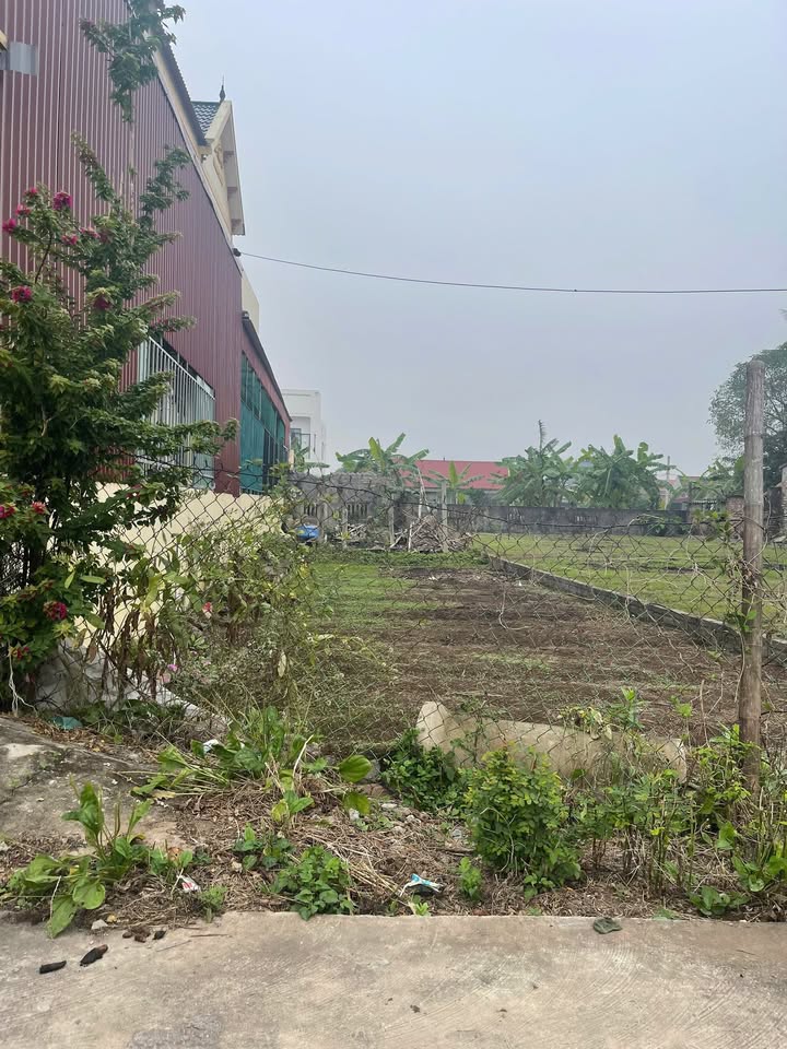 Lô đất 150m² tại Nam Điền, Nghĩa Hưng chỉ 1 tỷ - Cơ hội đầu tư sinh lời!