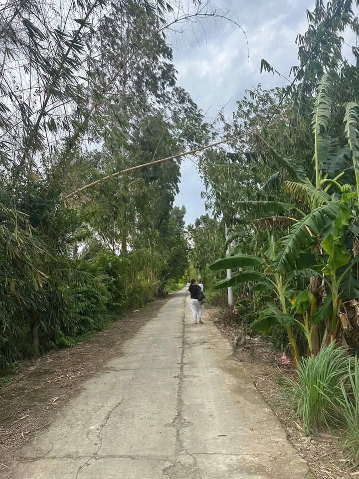 Đất thổ cư 265m² xã Mỹ Hòa, Bình Minh - Giá chỉ 4,5 triệu/m², thương lượng!