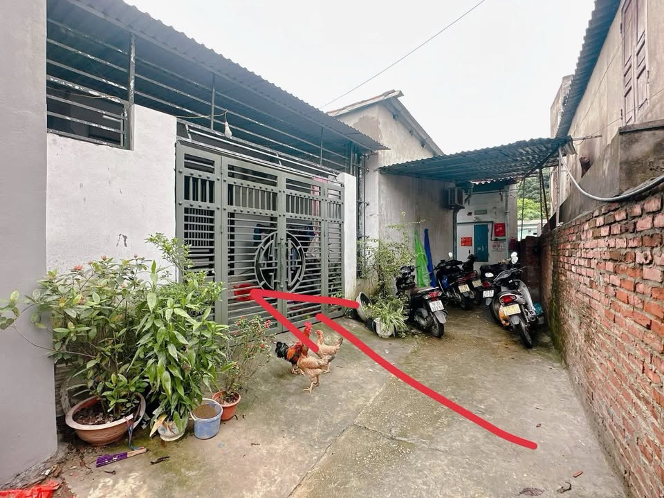 Nhà cấp 4 Khu 1B phường Nông Trang 88m² giá 2.16 tỷ - Vị trí trung tâm TP Việt Trì!