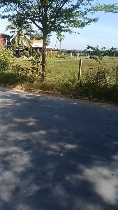 Đất mặt tiền Pháo Binh, Gò Dầu 488m² giá 2.3 tỷ - Cơ hội đầu tư tuyệt vời!