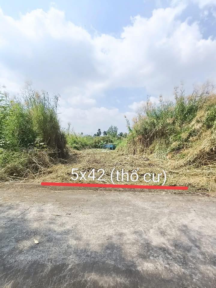 Đất thổ cư Nhơn Thạnh Trung Tân An 210m² giá 800 triệu - Cơ hội đầu tư hấp dẫn!