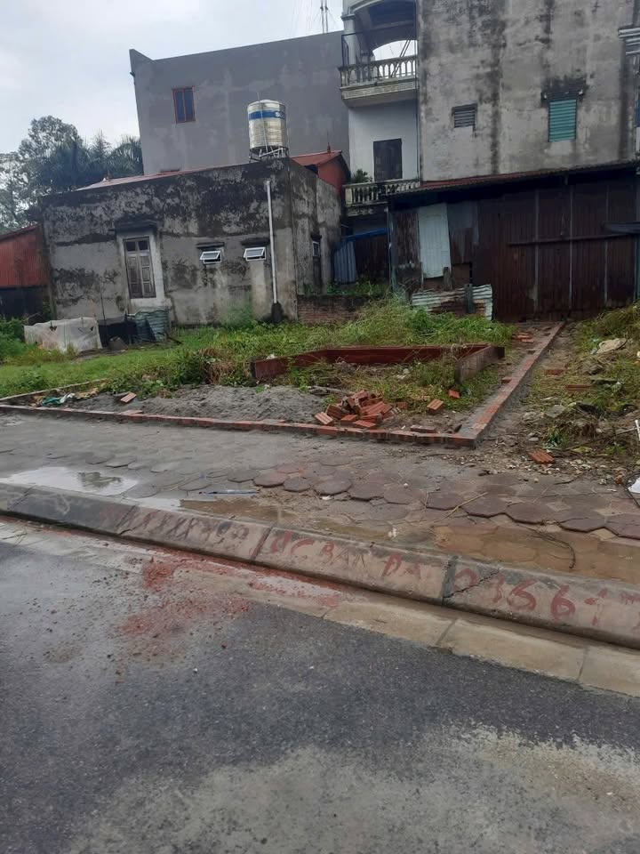 Đất đấu giá Thụy Lâm Đông Anh 70m² giá 4.9 tỷ - Đầu tư sinh lời hấp dẫn!